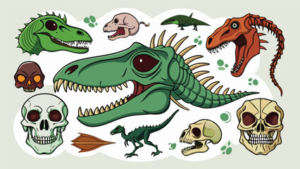A collection of dinosaur skulls displayed by an artist, showcasing various species and their unique features..eps