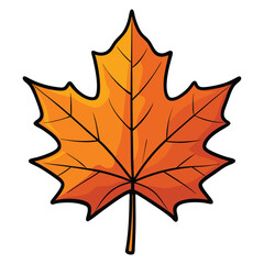 Obraz premium autumn maple leaf