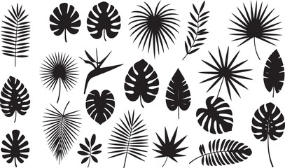 Leaf Silhouettes Collection - Elegant Black and White Tropical and Botanical Leaves