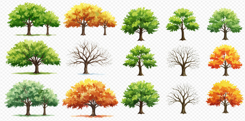 A collection of illustrated trees showcasing the four seasons, with green, yellow, and orange foliage, and bare winter branches.