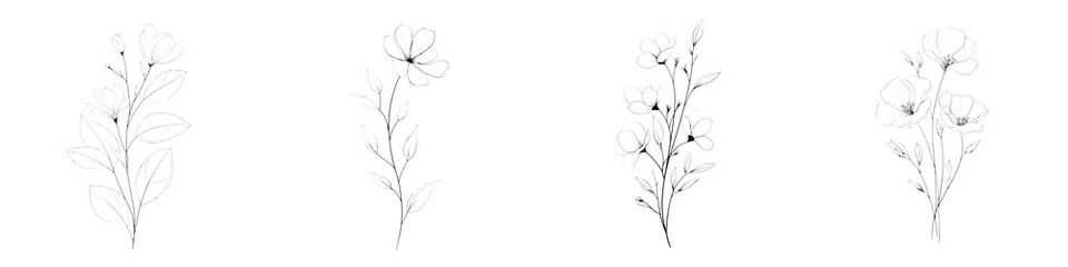 Floral Art Illustration Set: Delicate Botanical Drawings on White