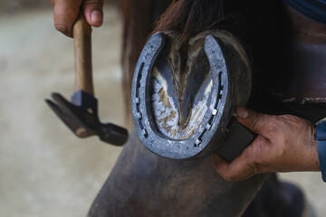 Farrier carefully fits horseshoe onto horse hoof, using hammer for precision. close up captures craftsmanship involved