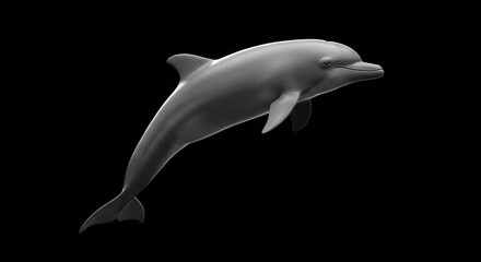 3D Render Bottlenose Dolphin Smiling Ocean Creature Isolated On Black Background