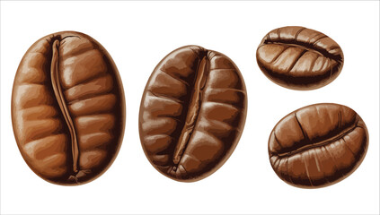 premium arabica coffee beans vector art isolated white