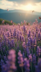 Naklejka premium Lavender flowers and butterflies in serene sunset field
