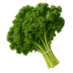 Fresh green kale bunch healthy eating nutritious vegetable food