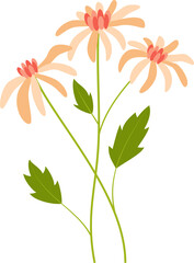 beauty summer flower design element