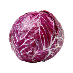Obraz premium Red Cabbage Isolated on Black Background Vegetable Fresh Food