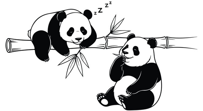 Cute Panda Cartoon Sleeping and Eating Bamboo Black and White Animal Vector Art