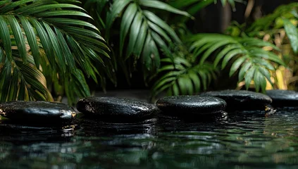 Fototapete Toilette Wet, dark stones arranged in a line on tranquil water, framed by lush, verdant tropical foliage  © Critink