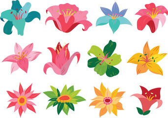 Set of floral elements. Beautiful romantic flower collection with flowers, leaves, floral bouquets, flower compositions. 