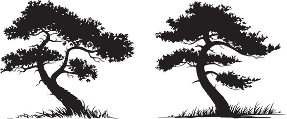 Silhouette of Bonsai Trees - Elegant Black and White Tree Illustrations