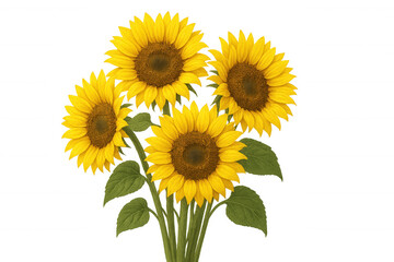 Vibrant bouquet of sunflowers blooming, isolated on a transparent background, perfect for summery designs and nature-inspired projects
