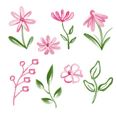 Hand drawn watercolor illustration of wildflowers and leaves on a white background