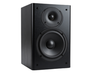Front View of Tall Black Modern Floor Speaker with Dual Drivers