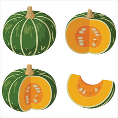 healthy vitamin-rich pumpkin vector image plain white