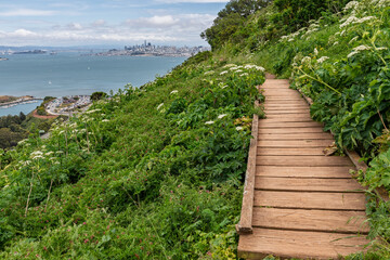 
Wooden path with San Francisco skyline in the background