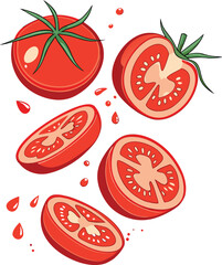 Tomato Illustration Featuring Whole Fruit, Halved Section, and Juicy Slices with Visible Seeds and Droplets for Culinary, Organic Food, and Graphic Design Applications