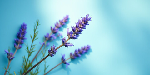 Naklejka premium Soft focus lavender sprigs against a textured teal background
