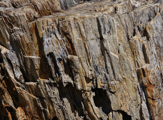 Fototapeta premium Ancient petrified wood tree trunk