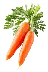 Two fresh carrots with leaves