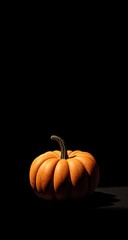 A small, orange pumpkin sits on a dark surface against a black background, dramatically lit from above, casting a subtle shadow