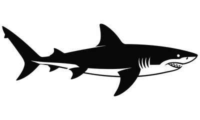Obraz premium shark vector illustration