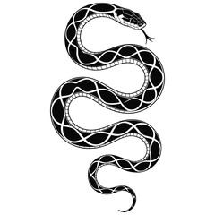 snake on a white background
