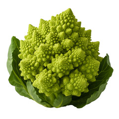 Romanesco broccoli a vibrant green vegetable with unique fractal pattern isolated on black background