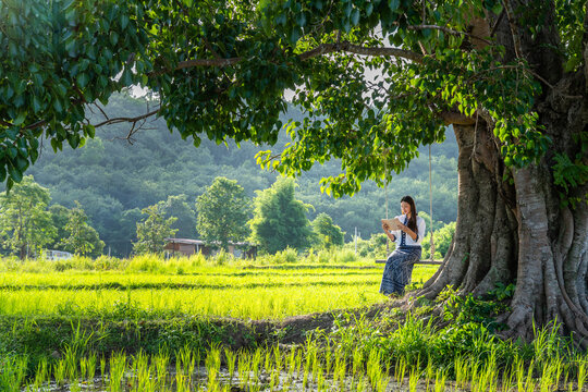 A young woman in traditional dress reading a book under a large tree beside a green rice field with mountains in the background, peaceful rural lifestyle scene.