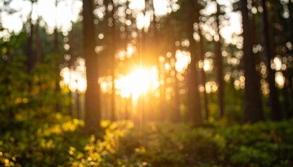 Ethereal Sunburst in a Dreamy Forest with Golden Bokeh and Abstract Light