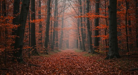 Autumn Forest Path: Red Leaves and Trees in Fog.