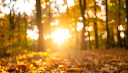 Golden Sunburst Glows Through a Dreamy, Blurred Autumn Forest