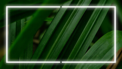 Vibrant, glowing neon white rectangular frame overlaying center. Leaves highlighting their parallel veins and rich texture. Combination organic nature and technology. Ideal modern futuristic design.