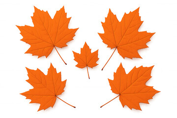 Fototapeta premium Five bright orange maple leaves falling against a transparent background, perfect for autumn-themed designs
