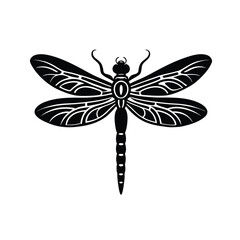 dragonfly vector illustration