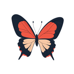 Symmetrical Butterfly with Bold Colors and Detailed Wing Patterns