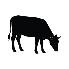 silhouette of a cow