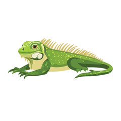 Vivid Green Iguana with Spiked Dorsal Crest and Detailed Claws
