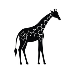 giraffe vector illustration