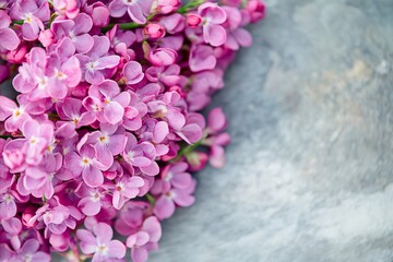 Obraz premium Lilac Bloom Cascade: A Floral Abundance on Textured Gray Surface