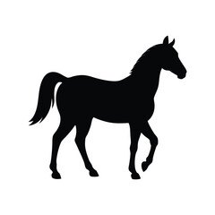 horse vector illustration