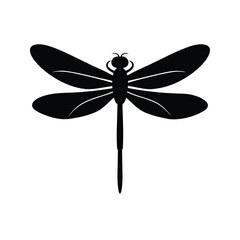 dragonfly on white background