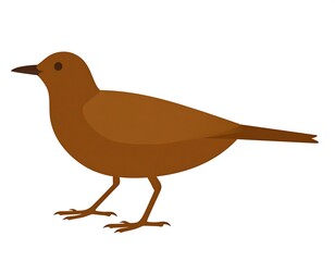 Brown bird profile