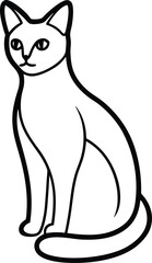 black cat on white background