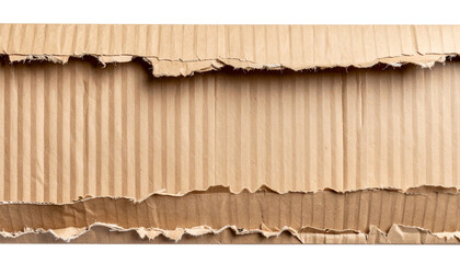 PNG Torn cardboard border isolated on transparent background