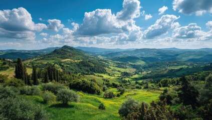 Panoramic view of rolling hills. Lush green valleys, dotted with trees and vegetation, ascend to distant mountains under a vibrant blue sky.  Fluffy white clouds
