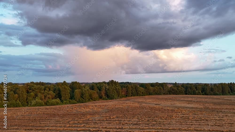 Wall mural timelapse of a grain field under shifting rain clouds and a rainbow as a storm builds. rapid light c