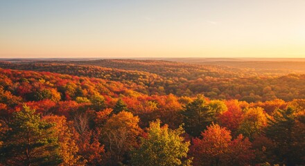 Obraz premium Aerial View of Autumn Forest at Sunset