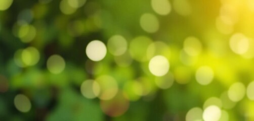Obraz premium Abstract green bokeh, blurred dreamy backdrop, soft focus, nature inspired, garden, eco